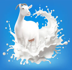 Goat milk
