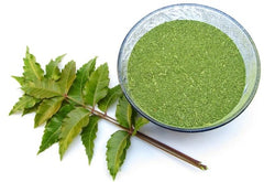 Neem Powder